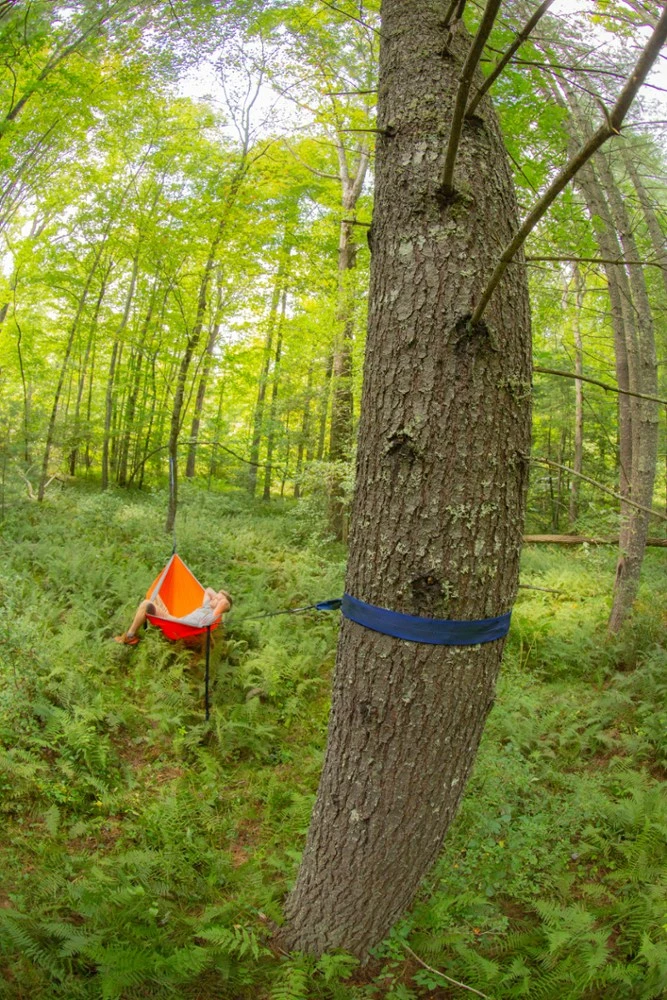 ENO Atlas EXT Hammock Straps - Image 3